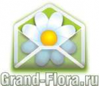 Логотип компании Доставка цветов Гранд Флора (ф-л г.Верхний Тагил)